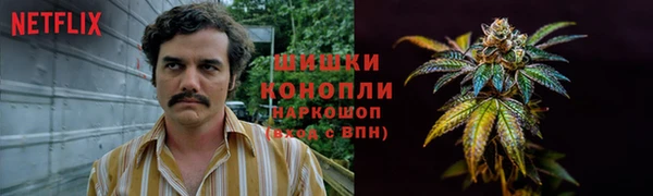 mdpv Киреевск