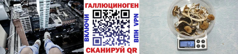 Купить где  Макаров  Псилоцибиновые грибы прущие грибы 